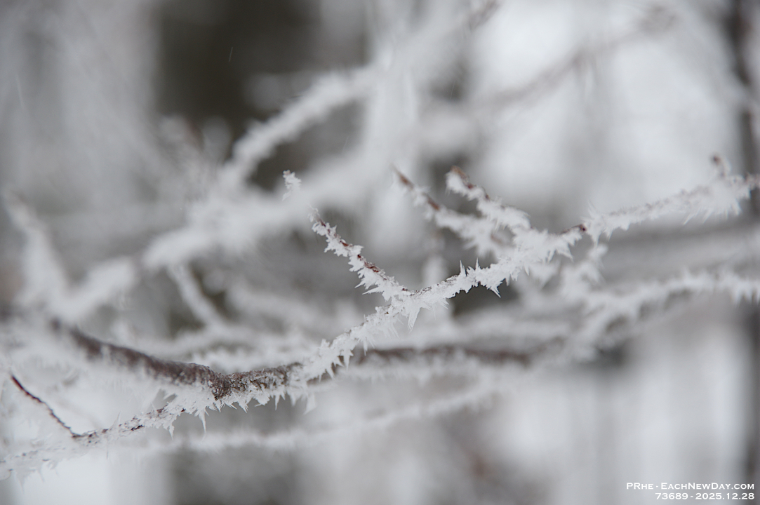 73689LeUsm - Enjoying the hoar frost and freezing rain